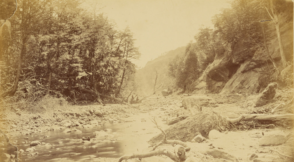 Unknown:[Landscape with a river, possibly in South America], Poster Print Wall Art