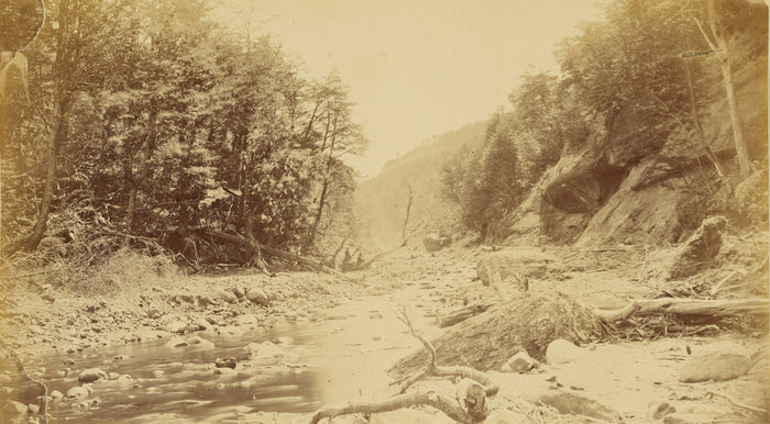 Unknown:[Landscape with a river, possibly in South America],16x12