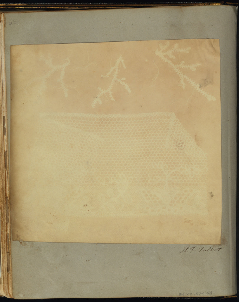 William Henry Fox Talbot:A Fragment of Lace with Three Sprig, Poster Print Wall Art