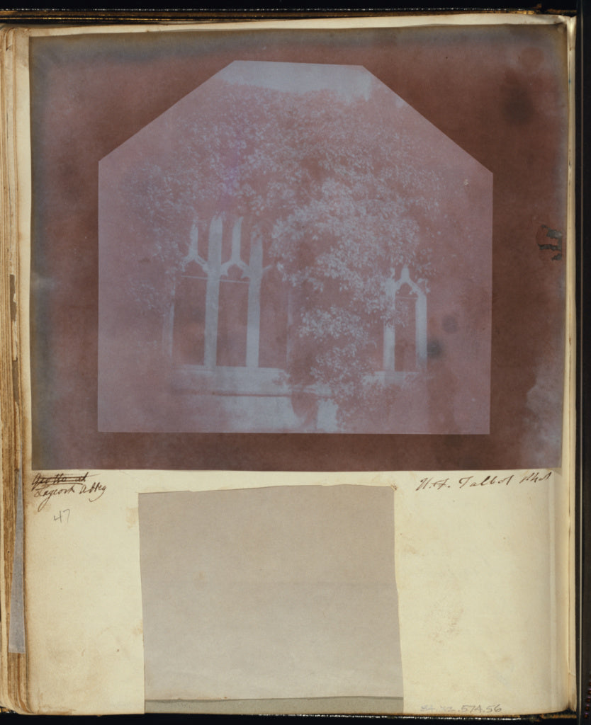 William Henry Fox Talbot:["Cloisters, an ivy bush, 3' bright,16x12"(A3)Poster