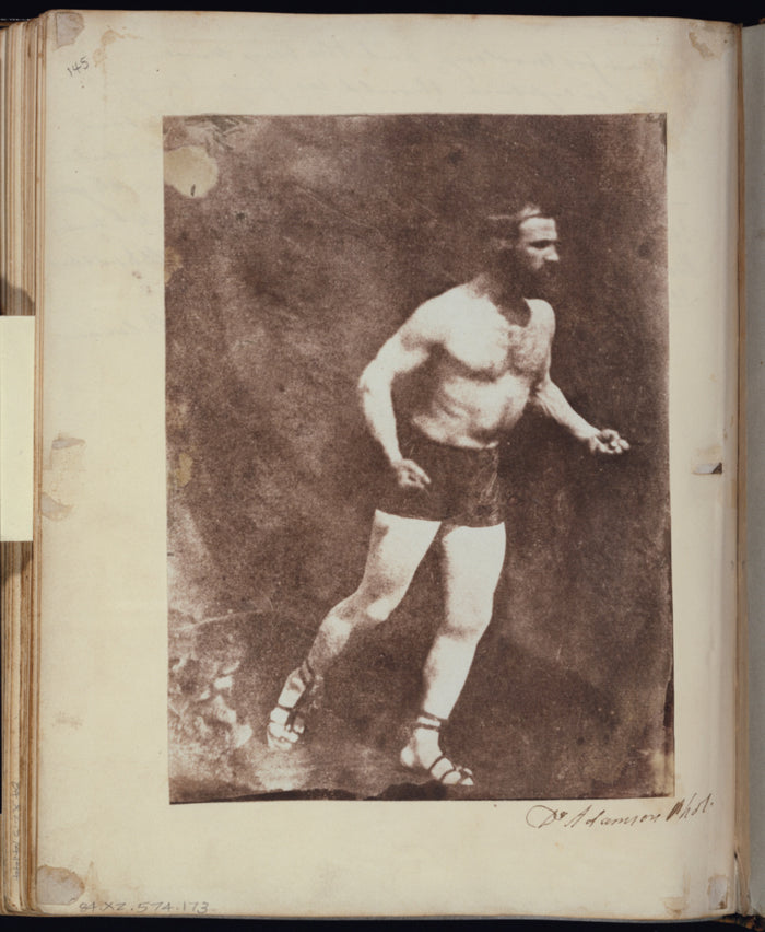 Dr. John Adamson:An Athlete,16x12