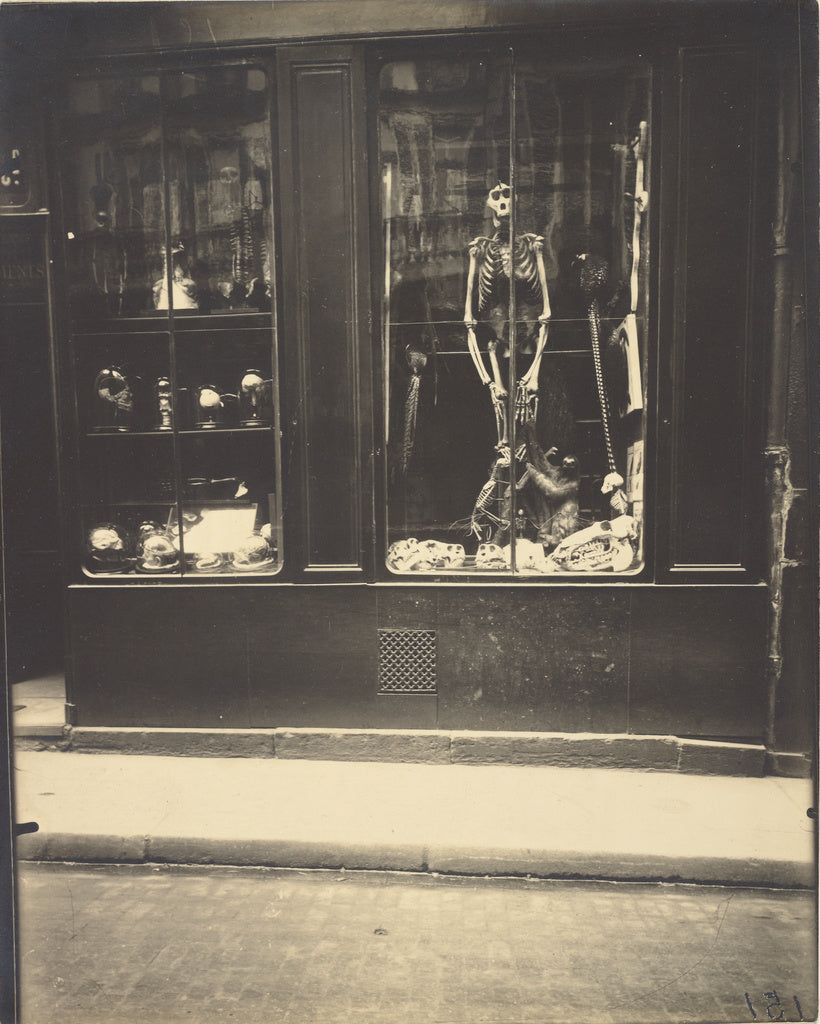 Eugène Atget:Naturaliste, rue de l'école de médicine, Poster Print Wall Art