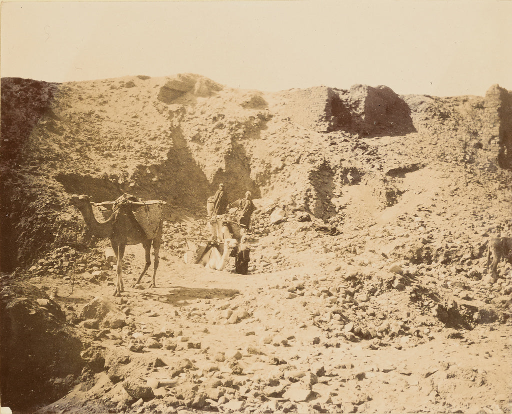 Unknown:[Men with camel in desert], Poster Print Wall Art