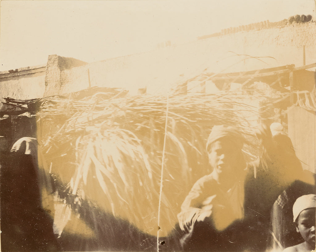 Unknown:[Boy in front of bundle of branches], Poster Print Wall Art
