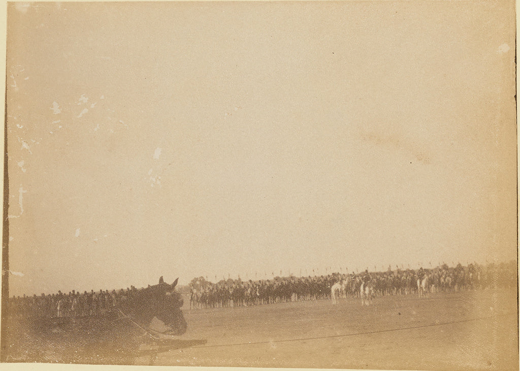 Unknown:[Cavalry in field], Poster Print Wall Art