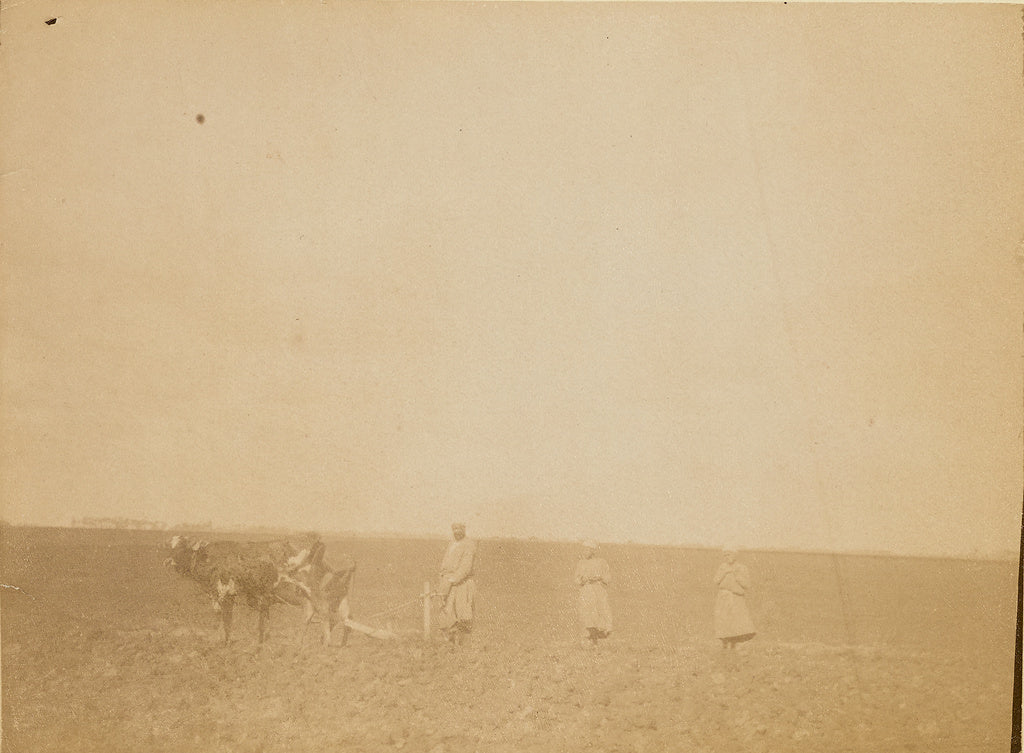 Unknown:[Man plowing], Poster Print Wall Art