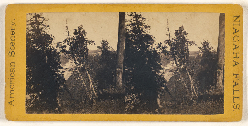 Unknown maker, American:[Forest scene at Niagara Falls], Poster Print Wall Art