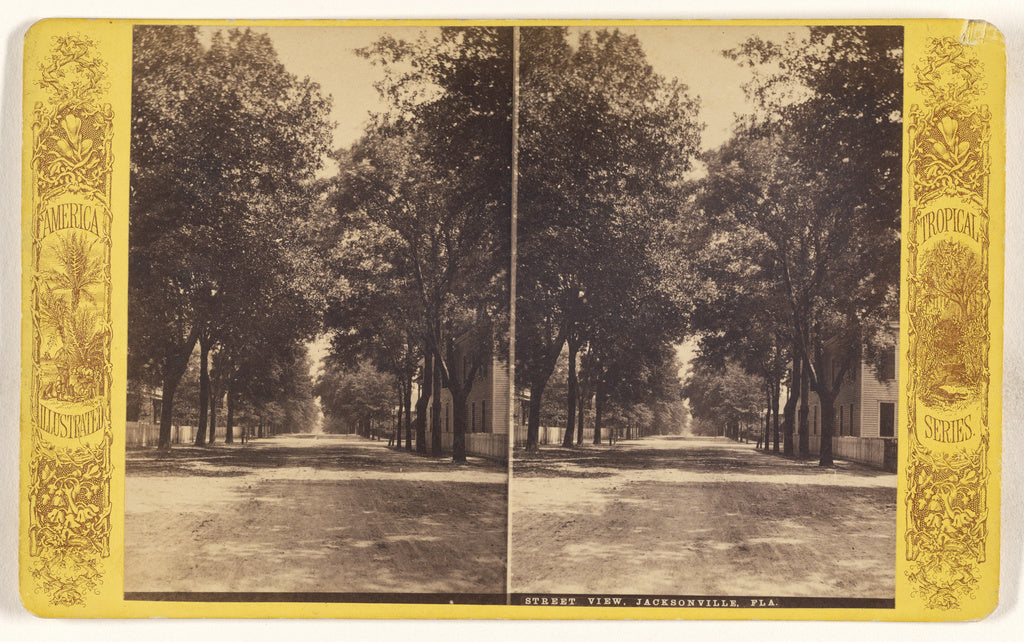 Unknown maker, American:Street View, Jacksonville, Fla., Poster Print Wall Art