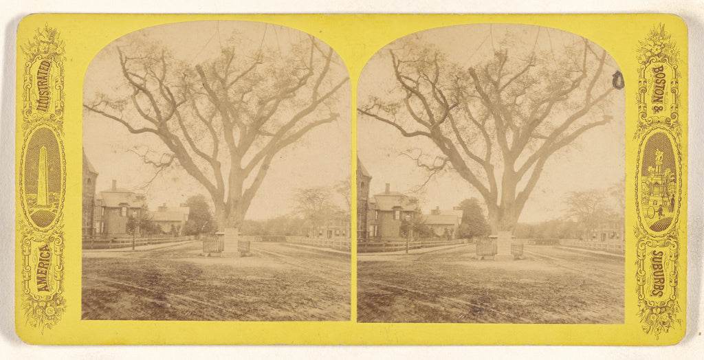Unknown maker, American:Washington's tree Cambridge Mass., Poster Print Wall Art