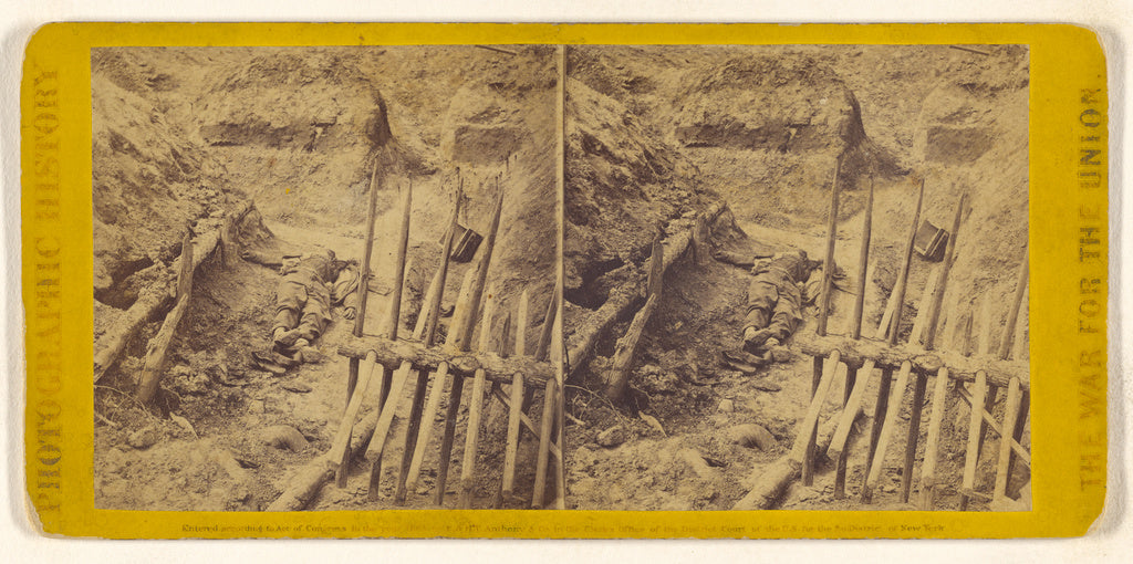 Edward and Henry T. Anthony & Co.:This Picture is a good vie, Poster Print Wall Art