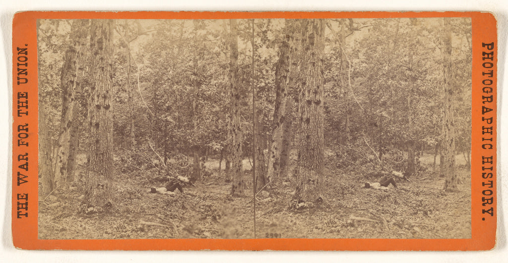 Edward and Henry T. Anthony & Co.:Woods on the left wing, Ba, Poster Print Wall Art