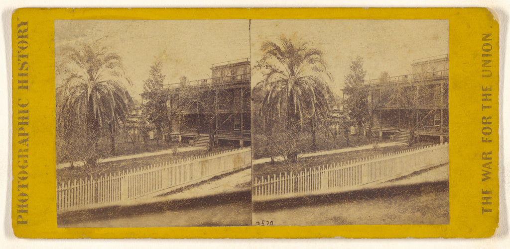 Edward and Henry T. Anthony & Co.:Date Palms, St. Augustine,, Poster Print Wall Art