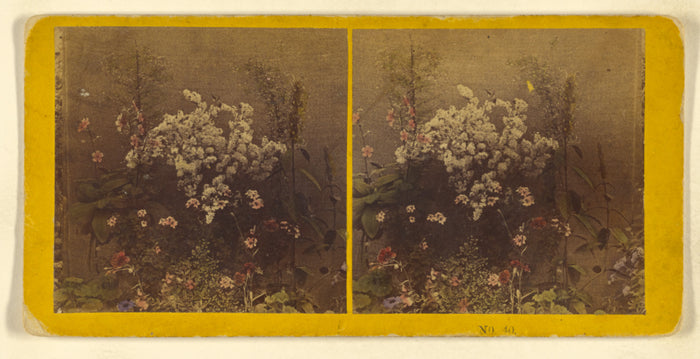 Benjamin West Kilburn:[Flowers],16x12