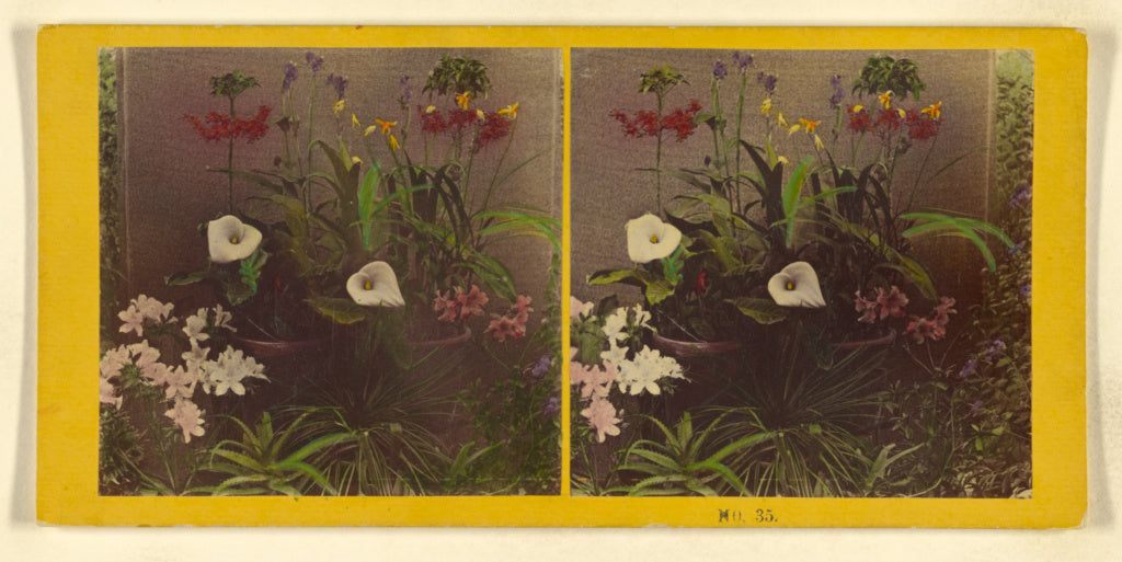 Benjamin West Kilburn:[An array of flowers], Poster Print Wall Art