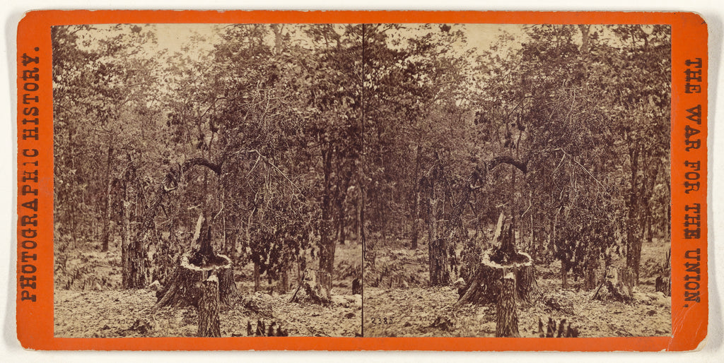 Mathew B. BradyStudio of:Woods on the left wing, Battle of G, Poster Print Wall Art