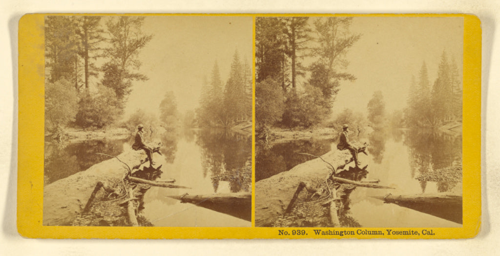 Benjamin West Kilburn:Washington Column, Yosemite, Cal., Poster Print Wall Art