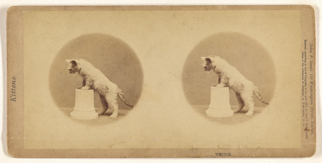 John P. Soule:Whitie., Poster Print Wall Art