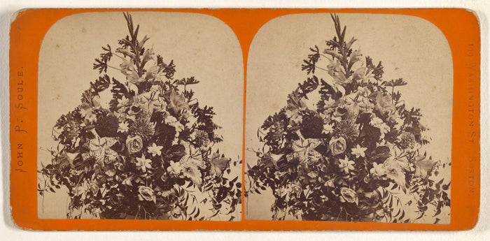 John P. Soule:[Flower arrangement],16x12