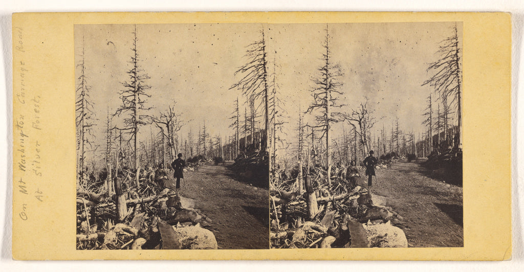 John P. SouleAttributed to:[On Mt. Washington Carriage Road , Poster Print Wall Art