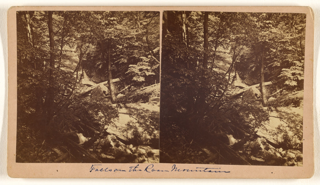 Nat. W. Taylor:[Falls on Roan Mountain, North Carolina], Poster Print Wall Art