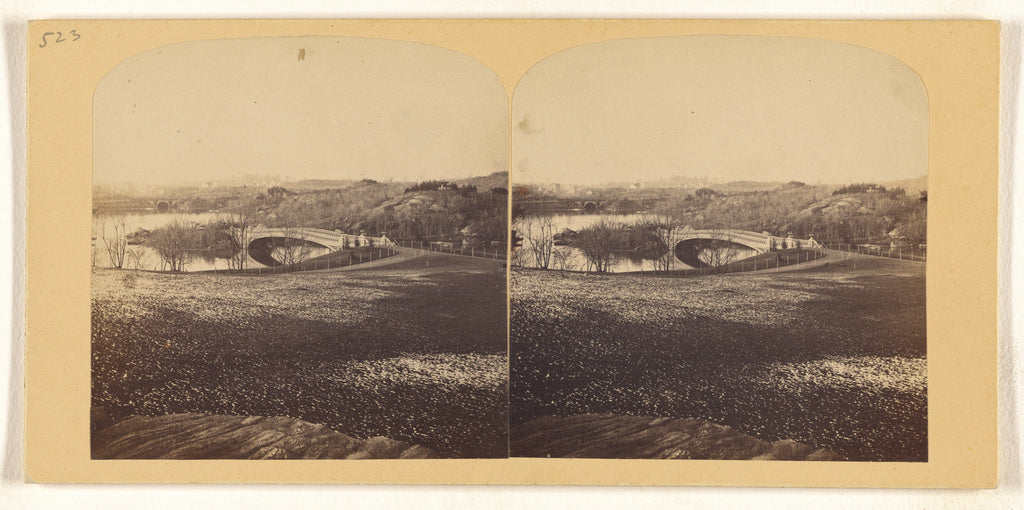 Tannin or:[Panorama of The Ramble, Central Park, Snow not ye, Poster Print Wall Art