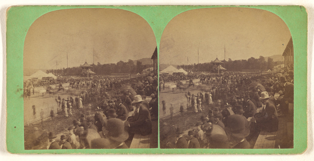 W.M. Tucker:[Exhibition of horses, Little Falls, New York], Poster Print Wall Art
