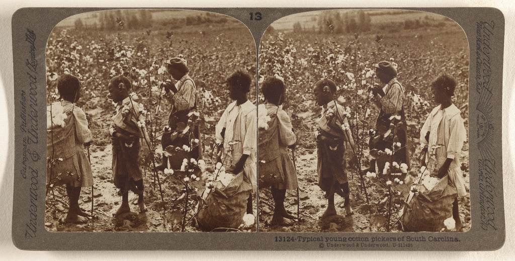Underwood & Underwood:Typical Young Cotton Pickers of South , Poster Print Wall Art