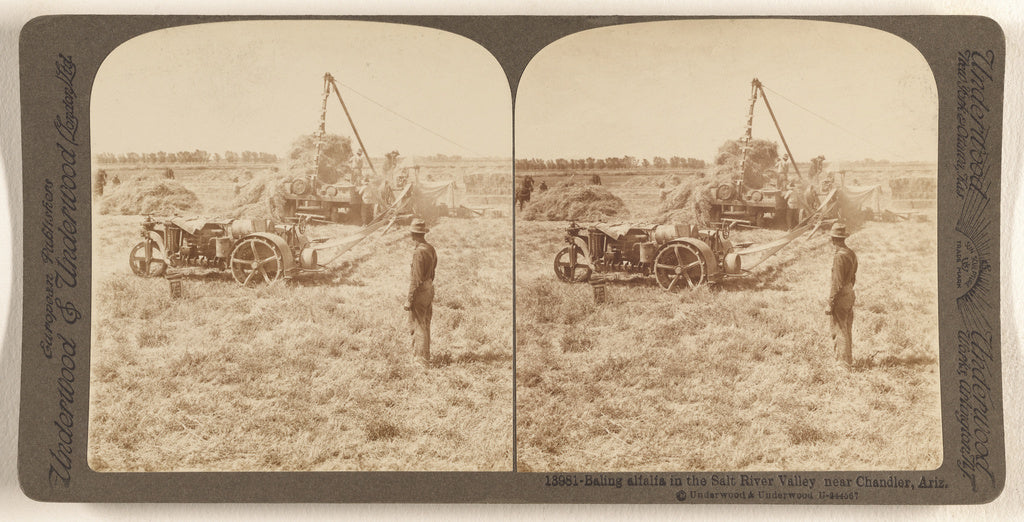 Underwood & Underwood:Baling alfalfa in the Salt River Valle, Poster Print Wall Art