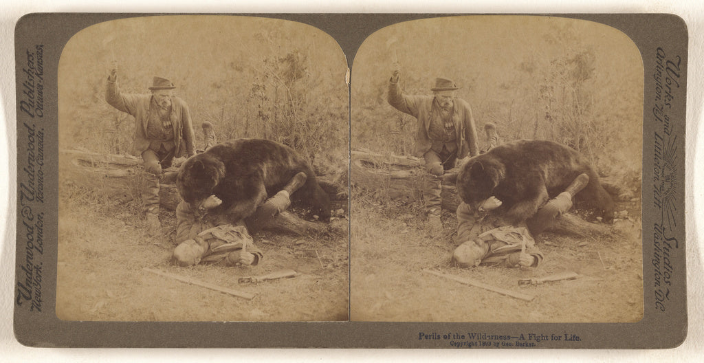 George Barker:Perils of the Wilderness - A Fight for Life., Poster Print Wall Art