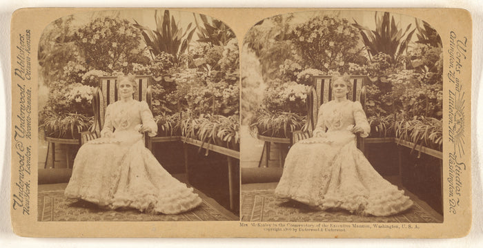 Underwood & Underwood:Mrs. McKinley in the Conservatory of t,16x12