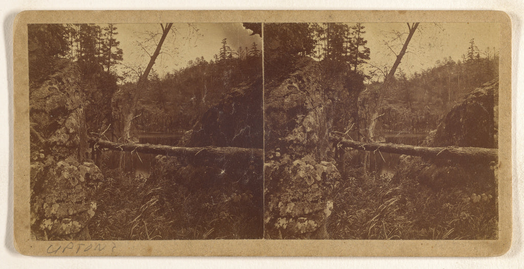 B. F. UptonAttributed to:[Log over river],16x12"(A3)Poster