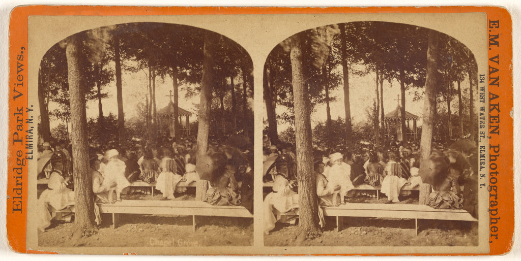 Elisha M. Van Aken:Chapel Grove [Eldridge Park, Elmira, N.Y., Poster Print Wall Art