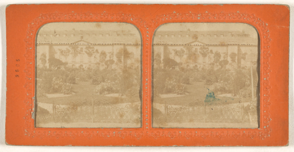 Unknown maker, French:[Jardin des Plantes], Poster Print Wall Art