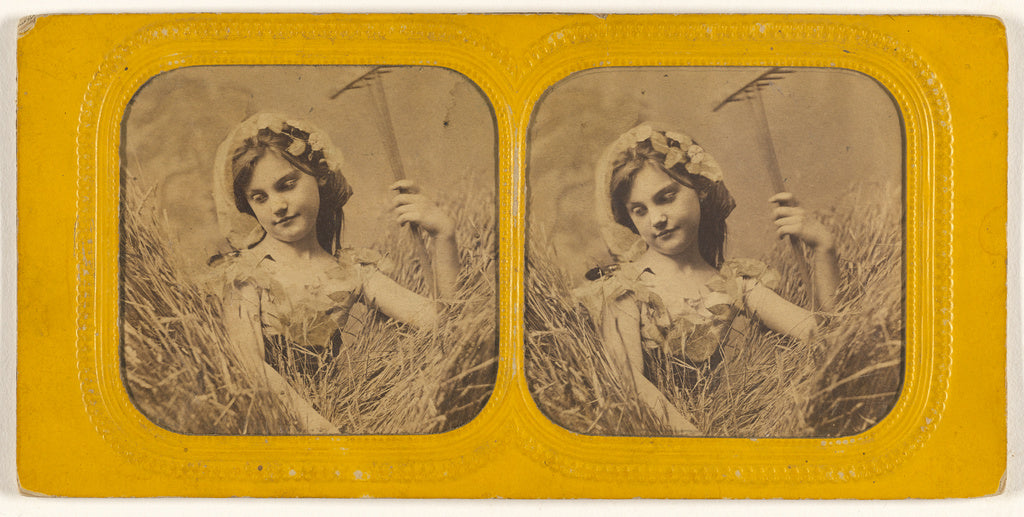 Unknown:[Little girl in field of hay holding a rake], Poster Print Wall Art