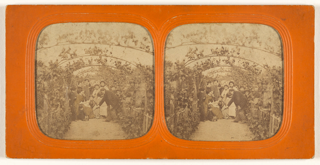 Unknown:[Group of people under a series of grape vines], Poster Print Wall Art