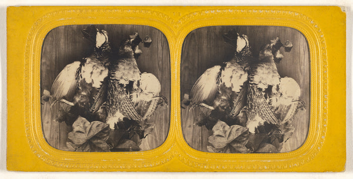 E. Lamy:[Still life of dead fowl hung on wall],16x12