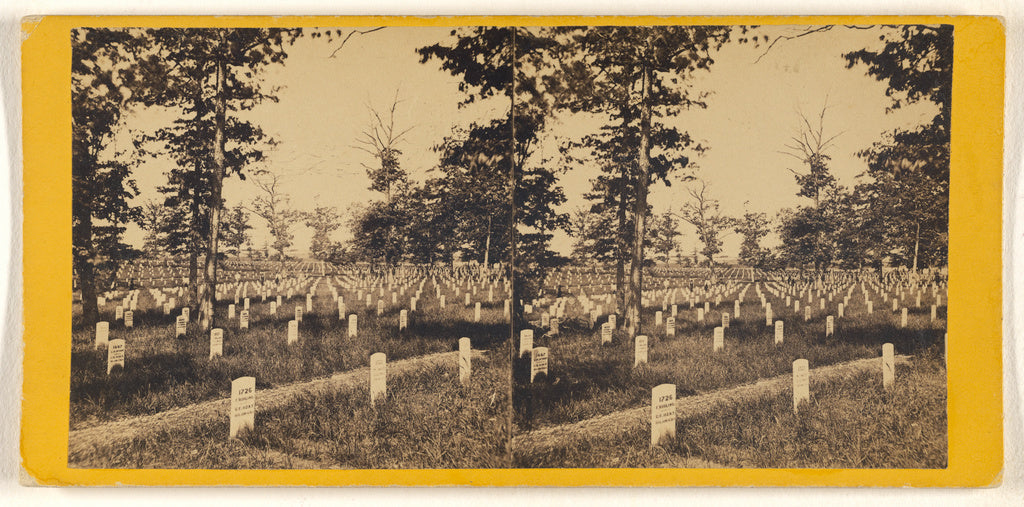 George D. Wakely:[Arlington Cemetery], Poster Print Wall Art
