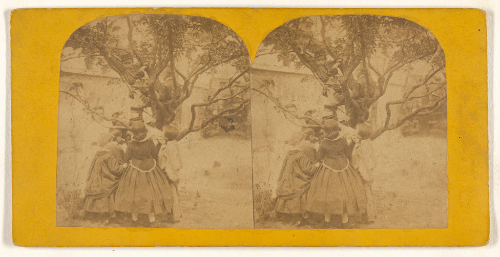 Unknown maker, British:[Children playing in tree], Poster Print Wall Art