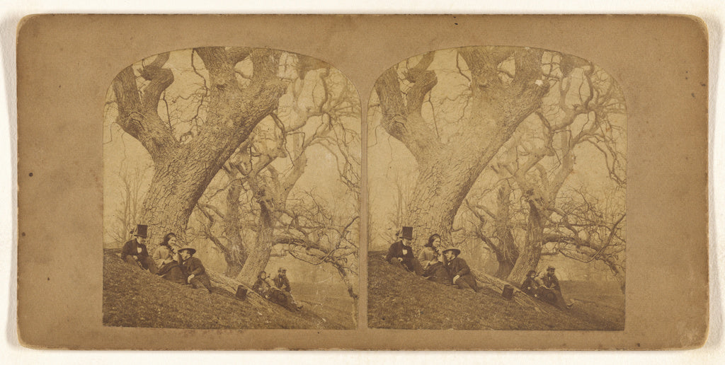 Unknown:[Two groups of three under two separate trees], Poster Print Wall Art