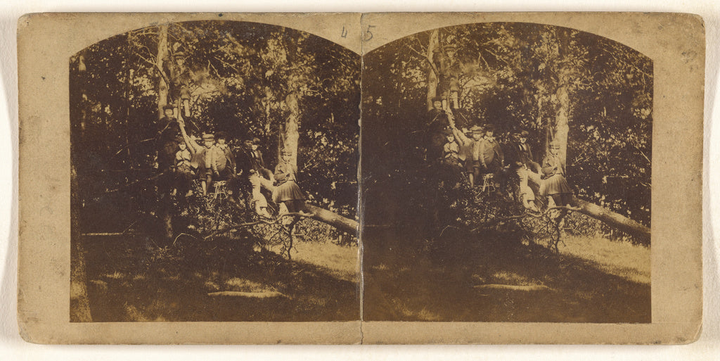 Unknown:[Group of children seated on a long tree branch], Poster Print Wall Art