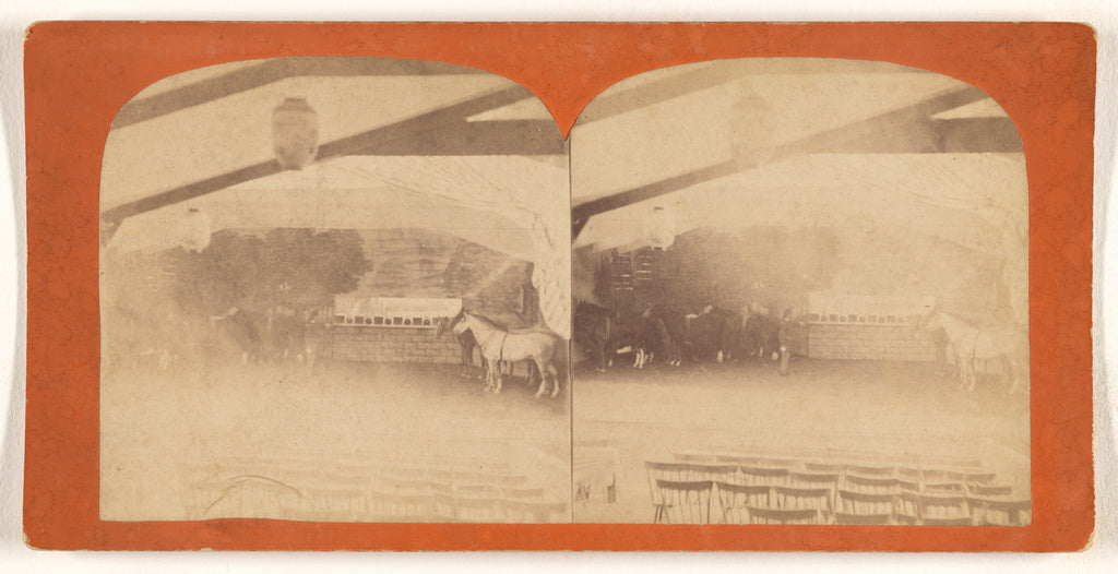 Unknown:[Horses in an enclosed area, chairs in foreground], Poster Print Wall Art