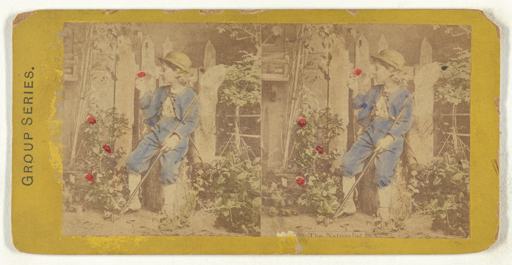 Unknown:The Naturalist, Poster Print Wall Art