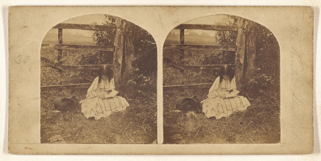 Unknown:[Little girl seated in grass by a fence, reading], Poster Print Wall Art