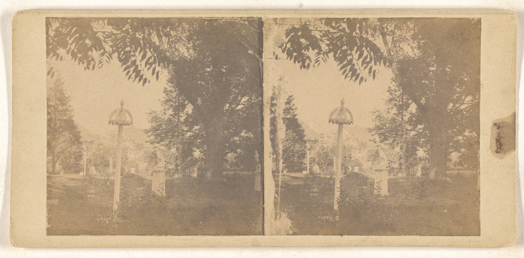Unknown:[Garden or park], Poster Print Wall Art