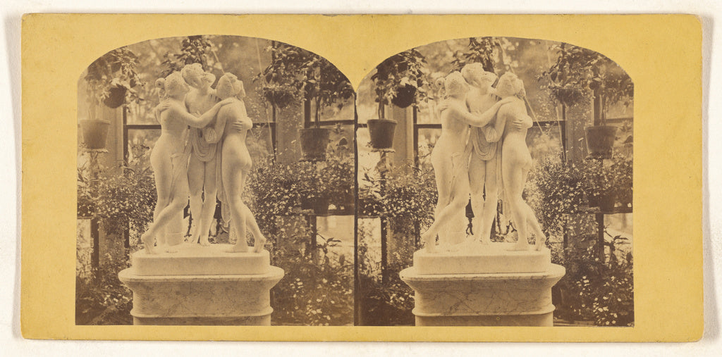 Unknown:[Private Conservatory], Poster Print Wall Art
