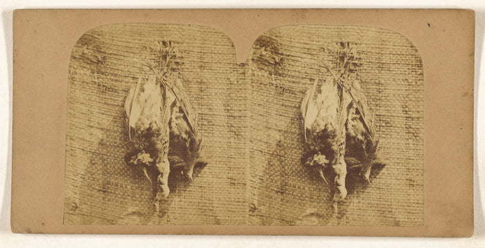 Unknown maker, British:[Still life of fowl],16x12