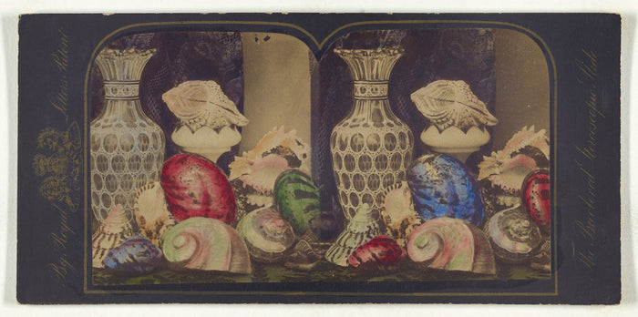 Unknown maker, British:[Shells and vases],16x12