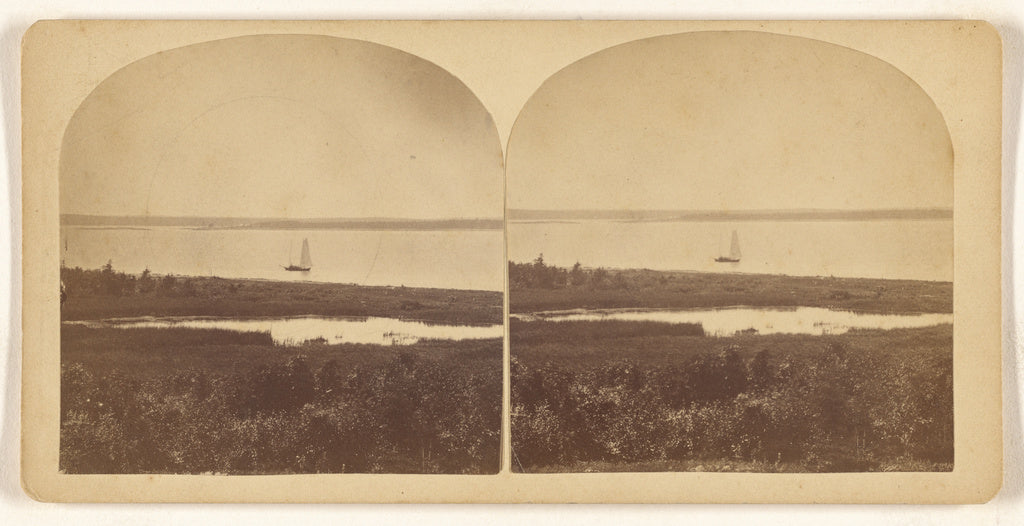 Unknown:[Sailboat on lake], Poster Print Wall Art