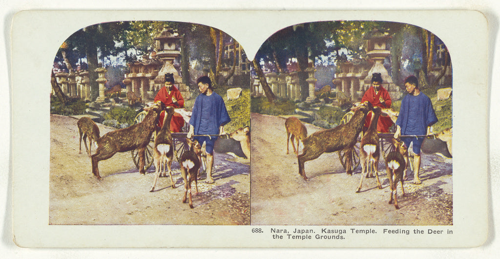 Unknown:Nara, Japan. Kasuga Temple. Feeding the Deer in the , Poster Print Wall Art