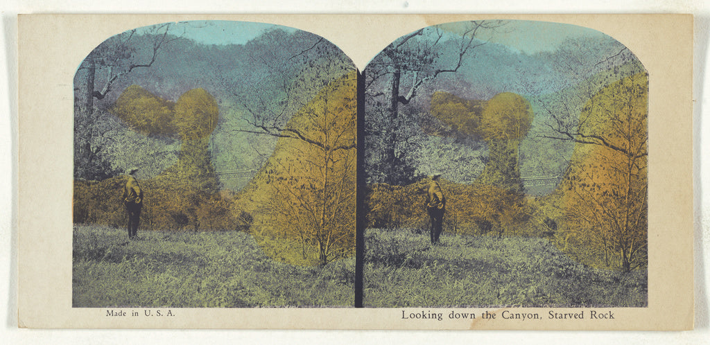 Unknown maker, American:Looking down the Canyon, Starved Roc, Poster Print Wall Art